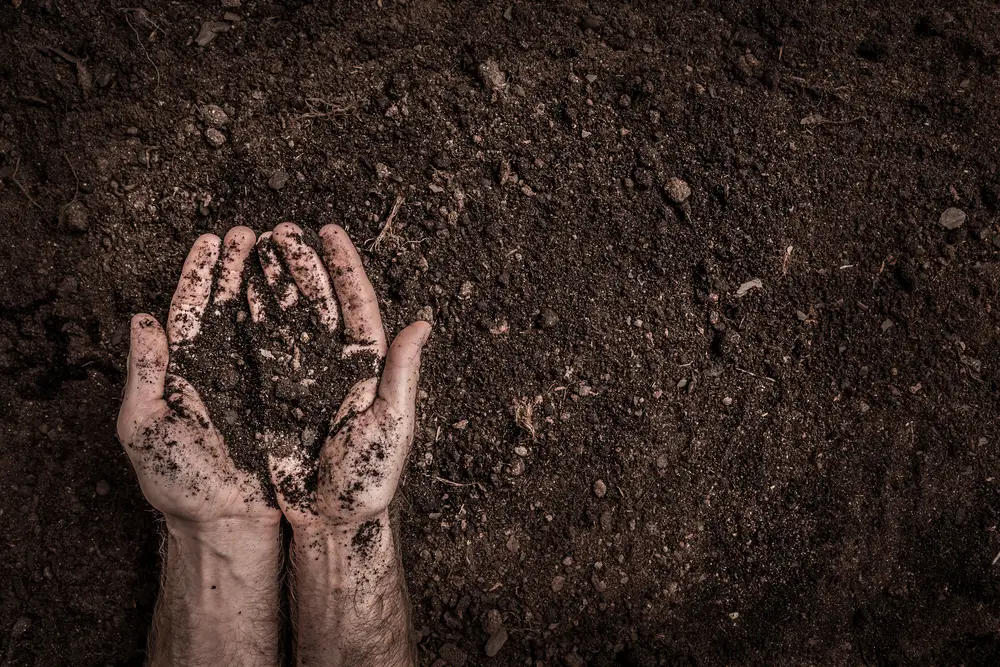 A man's hands holding soil over some soil.