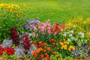 A multi-colored flower bed in the park.