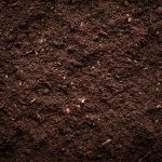 How To Build The Ideal Soil For Your Plants: Step-By-Step
