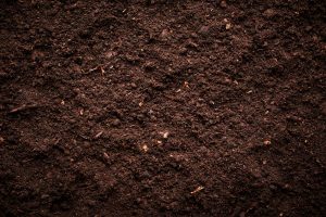 Overhead view of soil.
