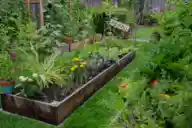 A raised bed garden between two other gardens in a fenced-in yard.