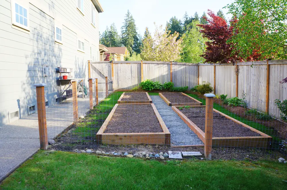 Fenced-in raised vegetable garden beds in a backyard. 