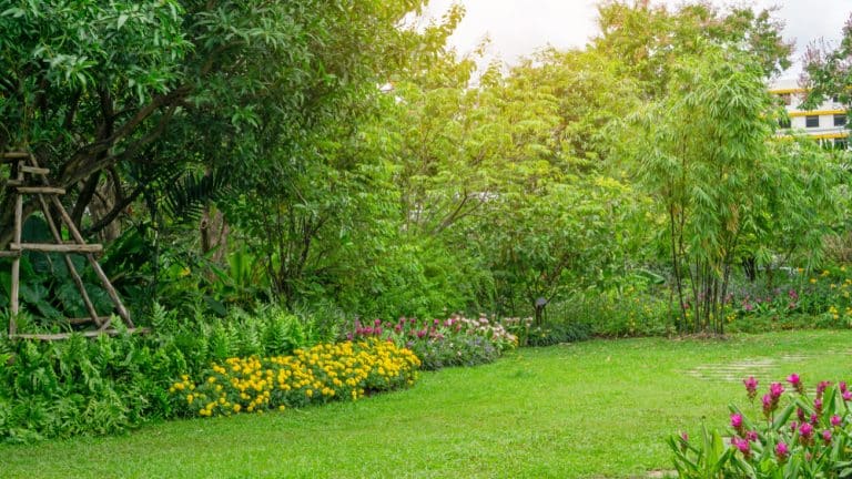 How To Create A Microclimate In Your Garden: Step-By-Step Guide ...