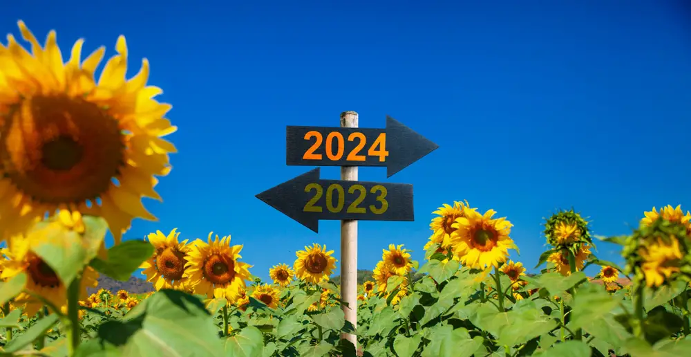 Signs showing 2023 in the past and 2024 in the future in a sunflower garden.