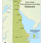Delaware Plant Hardiness Zones Map And Gardening Guide