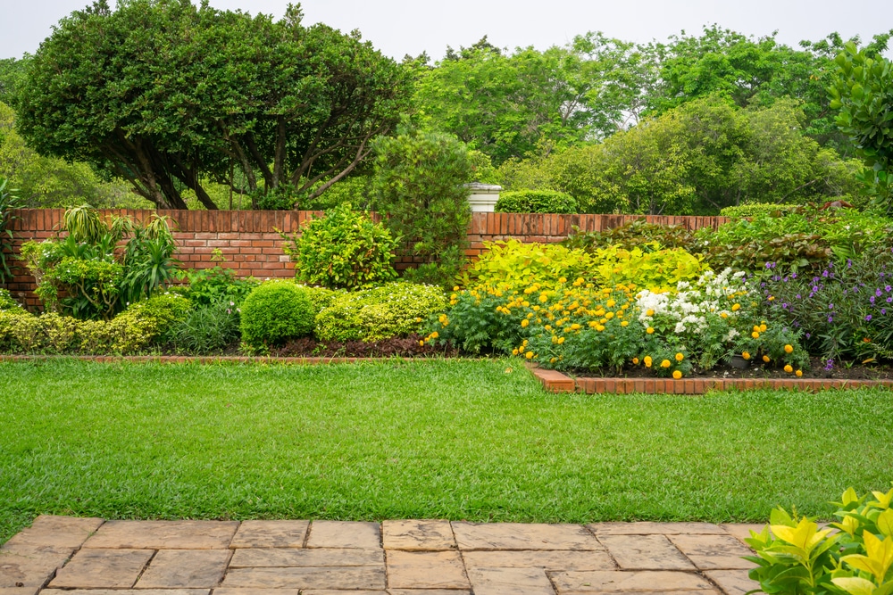 A backyard English cottage garden.