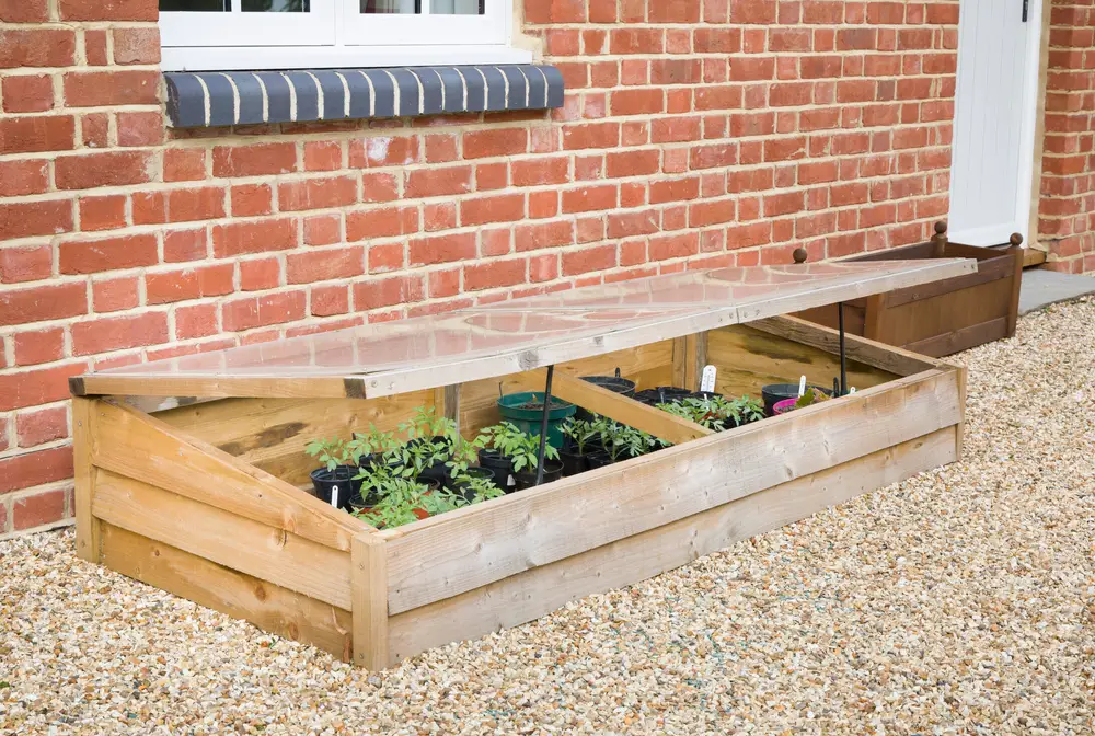 A cold frame with vegetables against a wall.