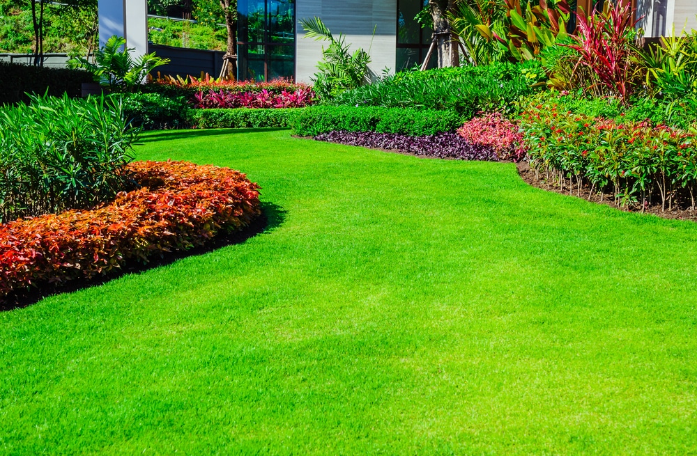 A pretty yard and garden landscape design.