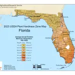 Florida Plant Hardiness Zones Map And Gardening Guide