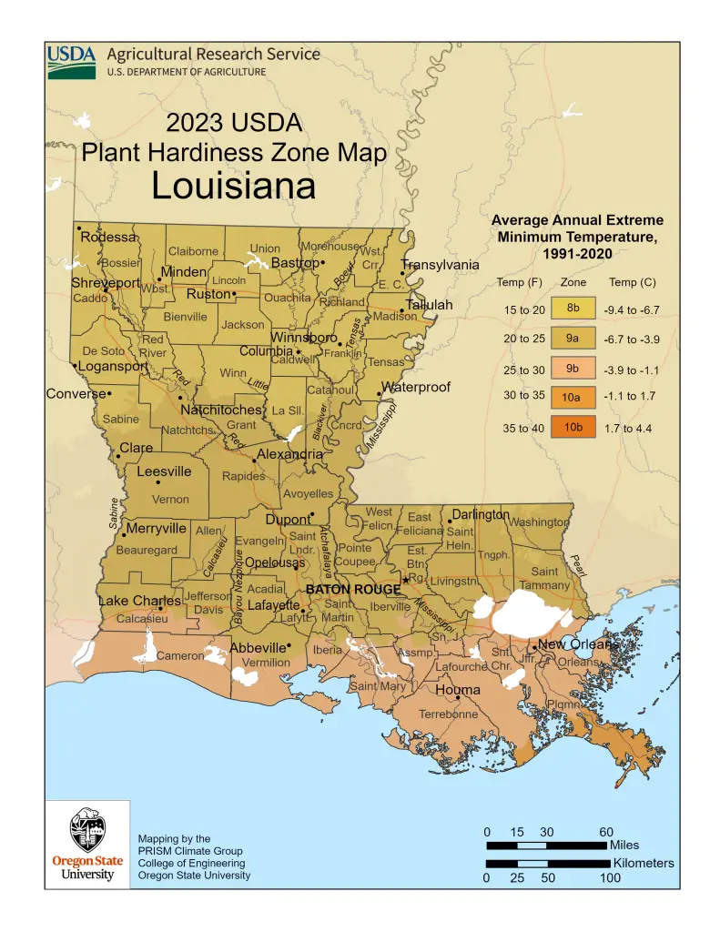 2023 USDA plant hardiness zones map information for Louisiana.