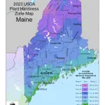 Maine Plant Hardiness Zones Map And Gardening Guide