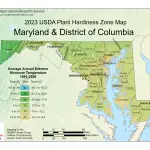 Maryland Plant Hardiness Zones Map And Gardening Guide