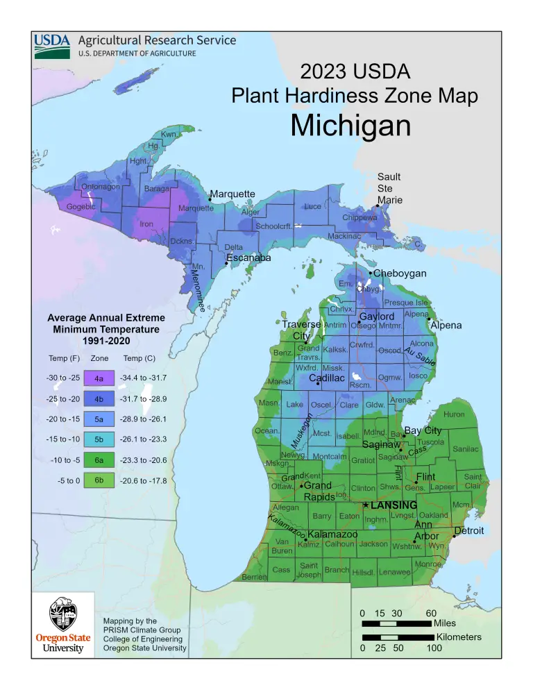 Michigan Plant Hardiness Zones Map And Gardening Guide - Gardenia Organic