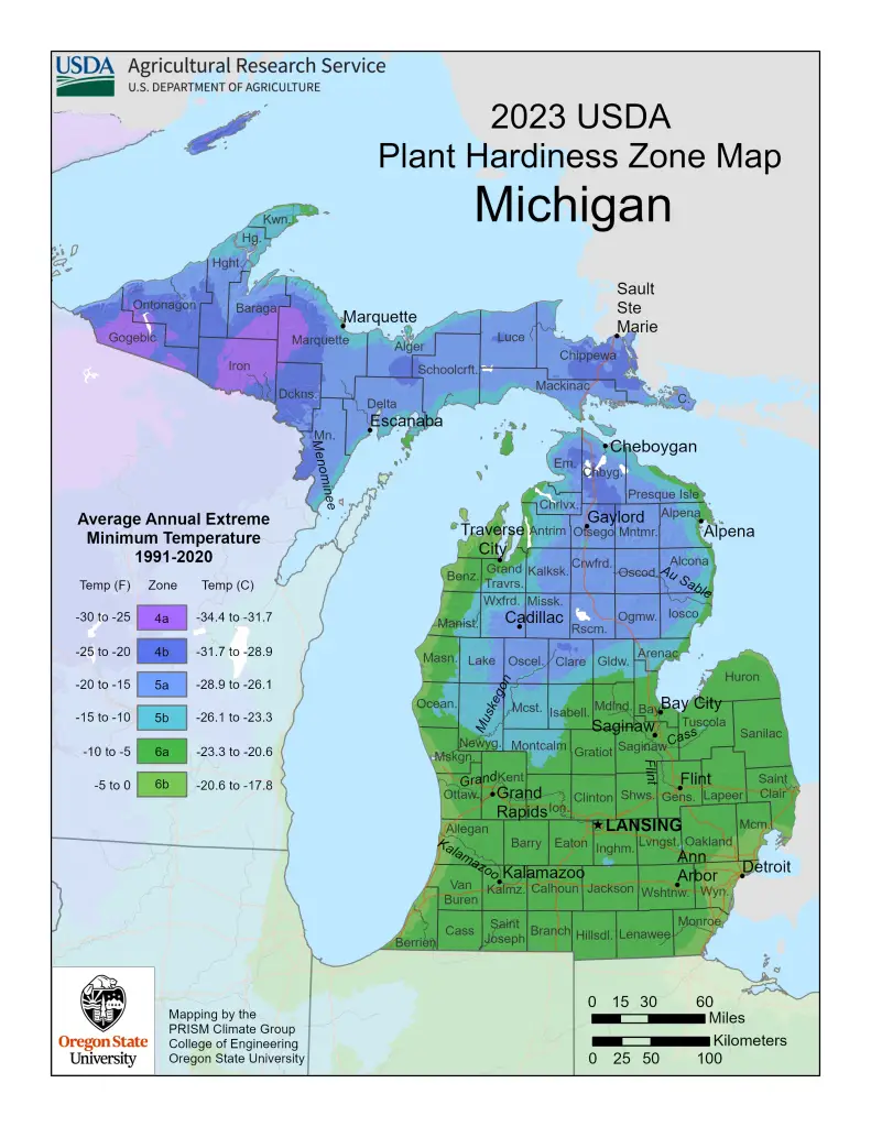 2023 USDA plant hardiness zones map information for Michigan.