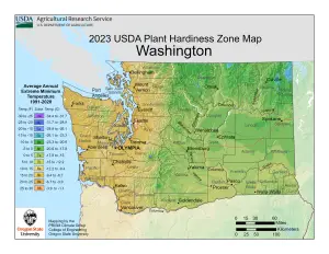 2023 USDA plant hardiness zones map information for Washington.