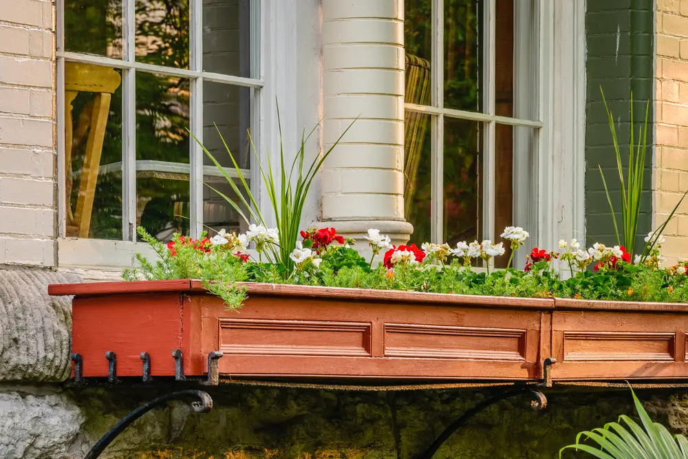 An old window box garden with flowers outside a home.