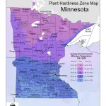 2023 USDA plant hardiness zones map information for Minnesota.