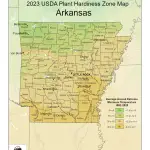 2023 USDA plant hardiness zones map information for Arkansas.