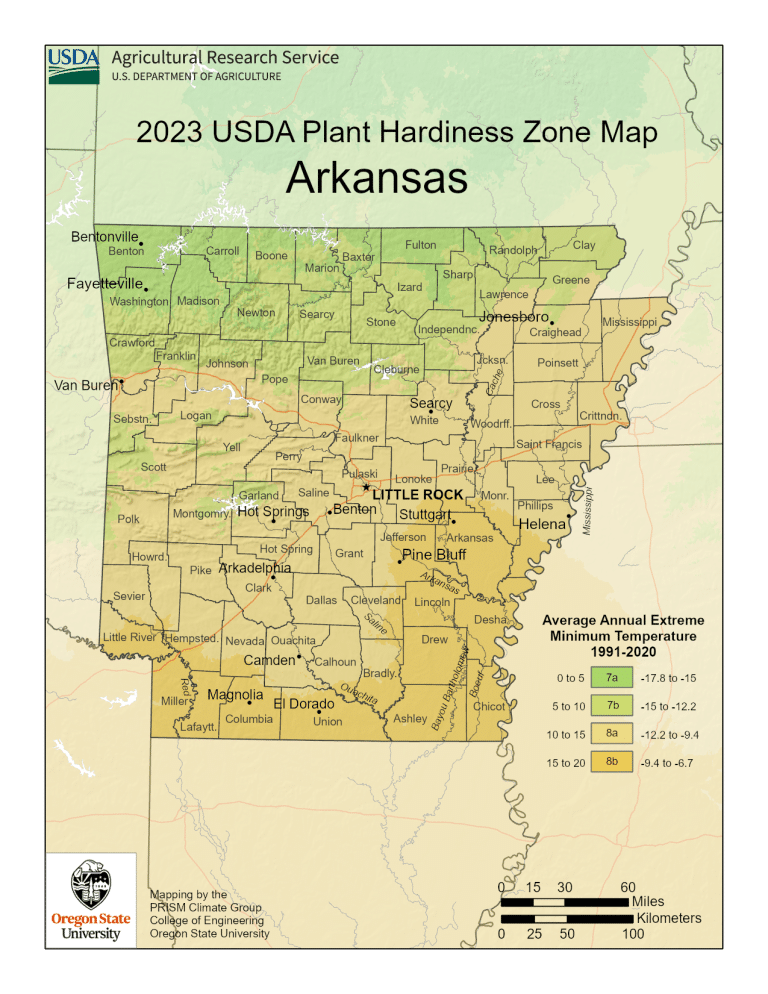 Arkansas Plant Hardiness Zones Map And Gardening Guide Gardenia Organic