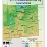 New Mexico Plant Hardiness Zones Map And Gardening Guide