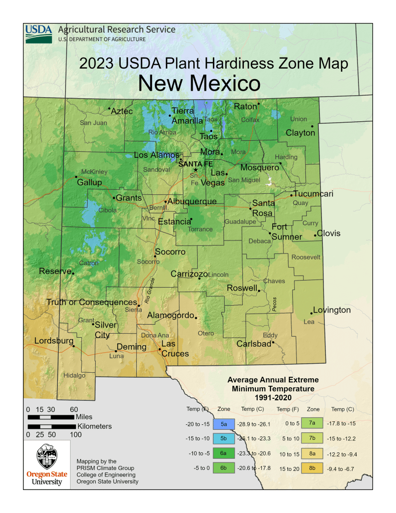 2023 USDA plant hardiness zones map information for New Mexico.