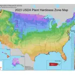 How To Use Plant Hardiness Zones Info To Garden Successfully