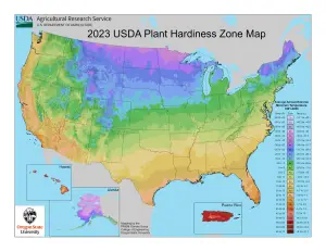 2023 USDA plant hardiness zones map information for Arkansas.