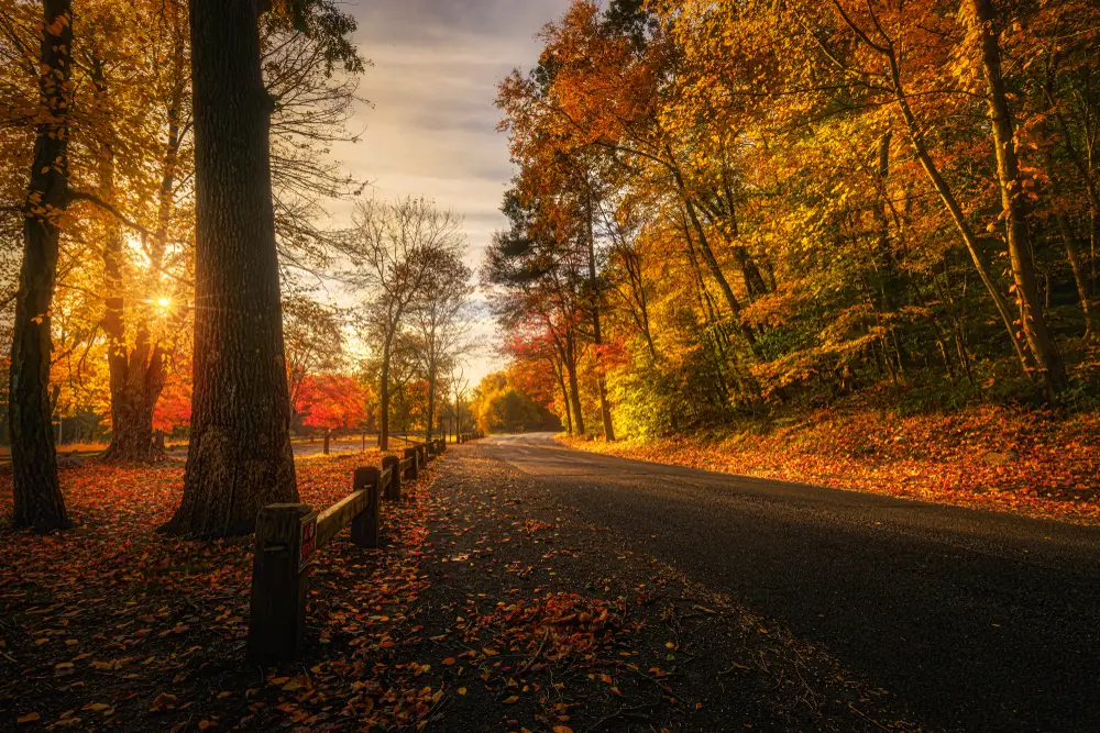 Autumn Fall view of street in Connecticut