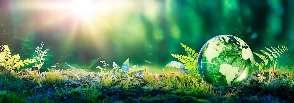 Globe on green grass with plants and sun in background