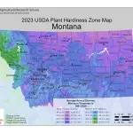 2023 USDA plant hardiness zones map information for Montana