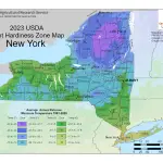 2023 USDA plant hardiness zones map information for New York