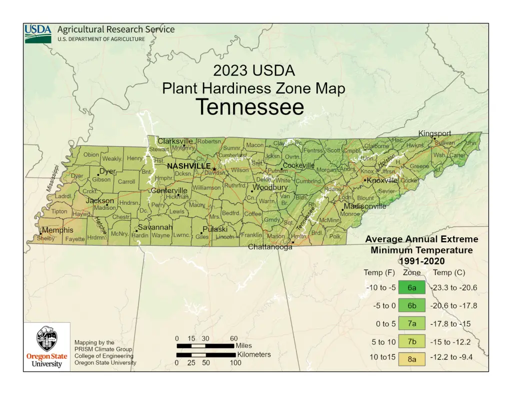 2023 USDA plant hardiness zones map information for Tennessee