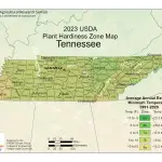 2023 USDA plant hardiness zones map information for Tennessee