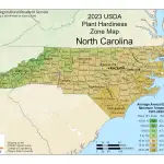 North Carolina Plant Hardiness Zone