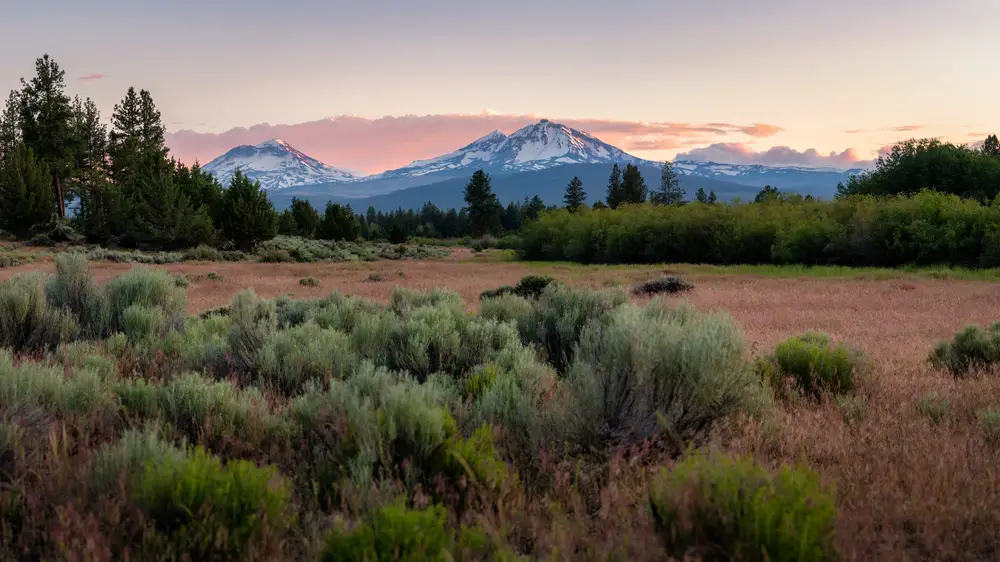 Oregon Gardening Tips