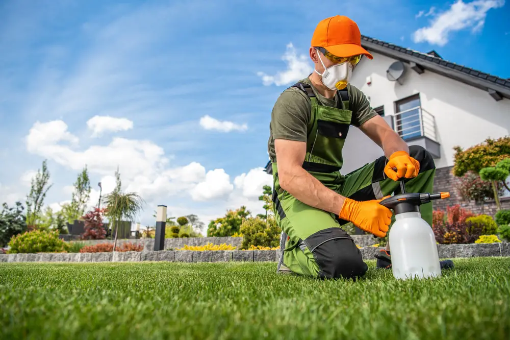 How Outdoor Bug Spray Works