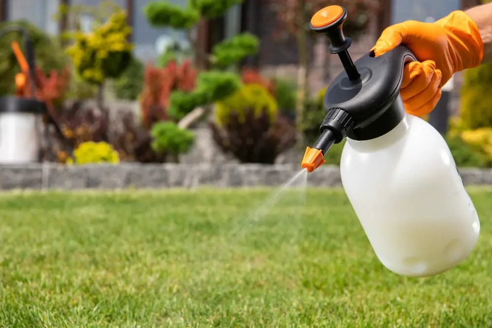 Is Bug Spray For Backyard Safe For Plants?