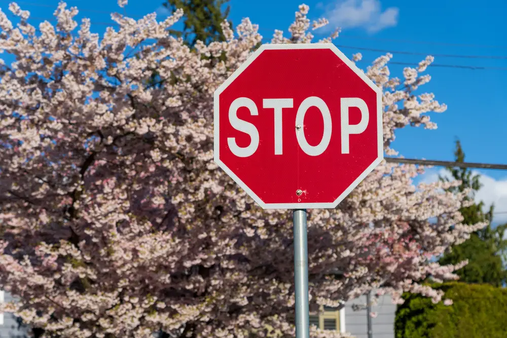 When Not To Use Bug Spray For Yard