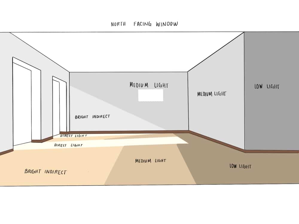 Understanding Low Light Conditions