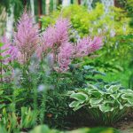 Guide To Planting And Designing A Lush Shade Garden Featured Image