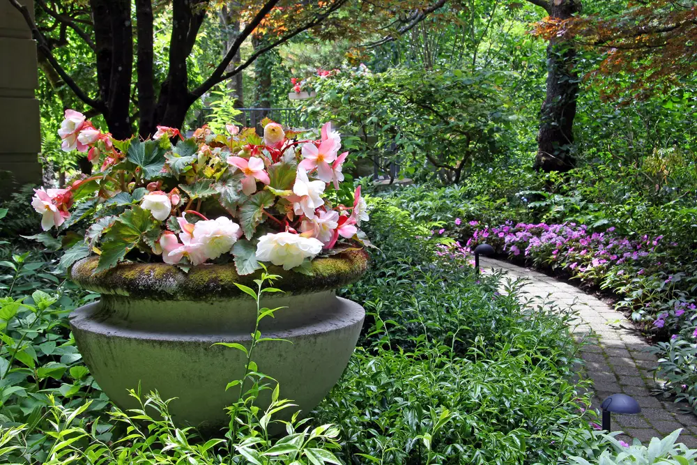 Creative Shade Gardening Techniques